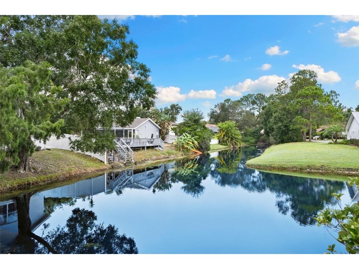 3853 Sunrise Lane Tarpon Springs FL 34688 TB8422035 image4