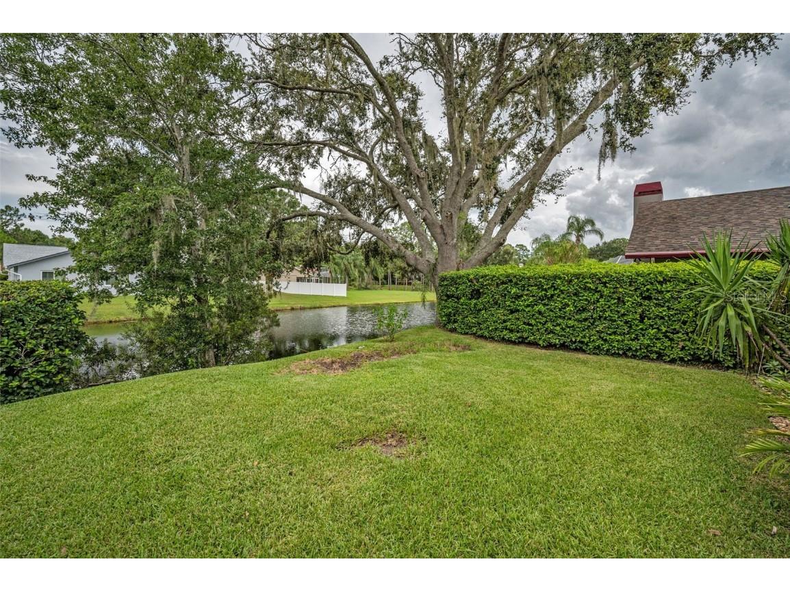 3853 Sunrise Lane Tarpon Springs FL 34688 TB8422035 image40