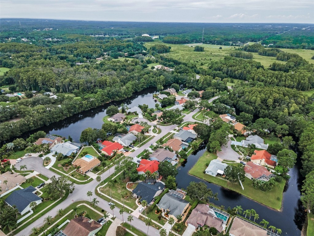 3853 Sunrise Lane Tarpon Springs FL 34688 TB8422035 image41