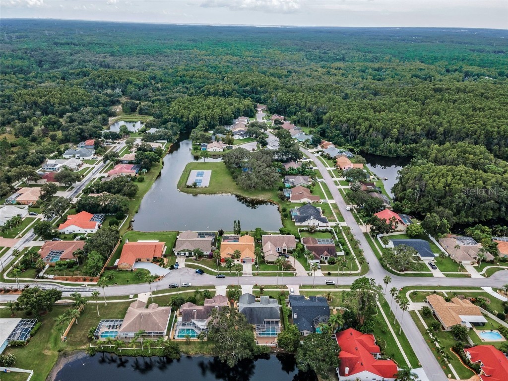 3853 Sunrise Lane Tarpon Springs FL 34688 TB8422035 image42