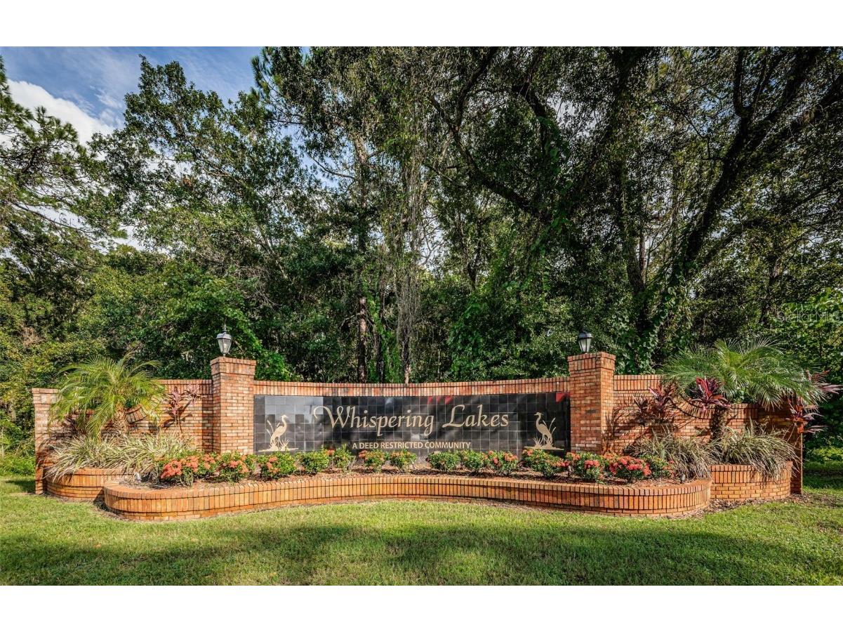 3853 Sunrise Lane Tarpon Springs FL 34688 TB8422035 image44