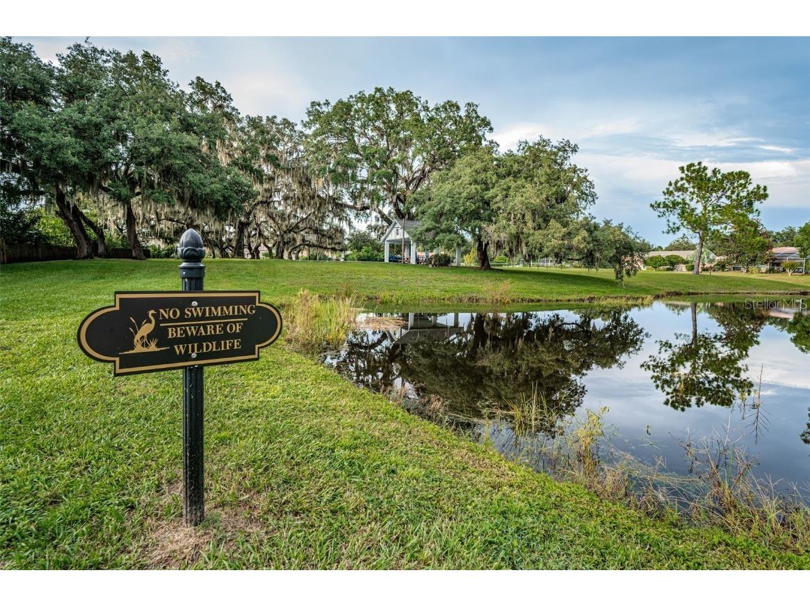 3853 Sunrise Lane Tarpon Springs FL 34688 TB8422035 image45