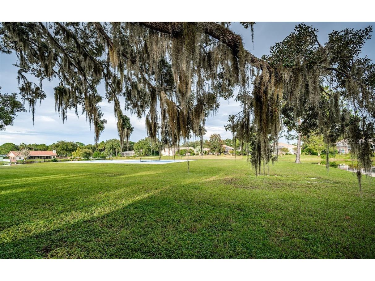 3853 Sunrise Lane Tarpon Springs FL 34688 TB8422035 image46