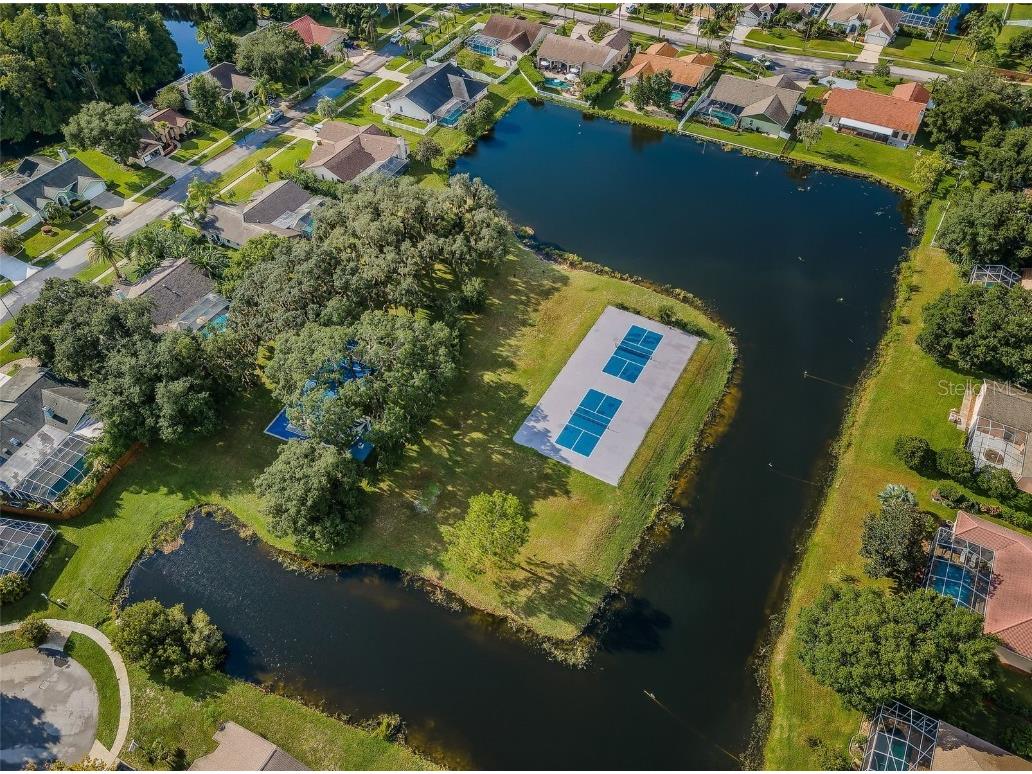 3853 Sunrise Lane Tarpon Springs FL 34688 TB8422035 image47