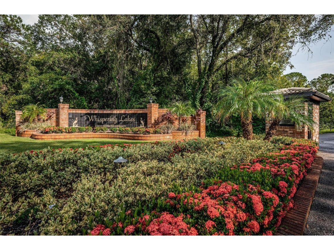 3853 Sunrise Lane Tarpon Springs FL 34688 TB8422035 image5