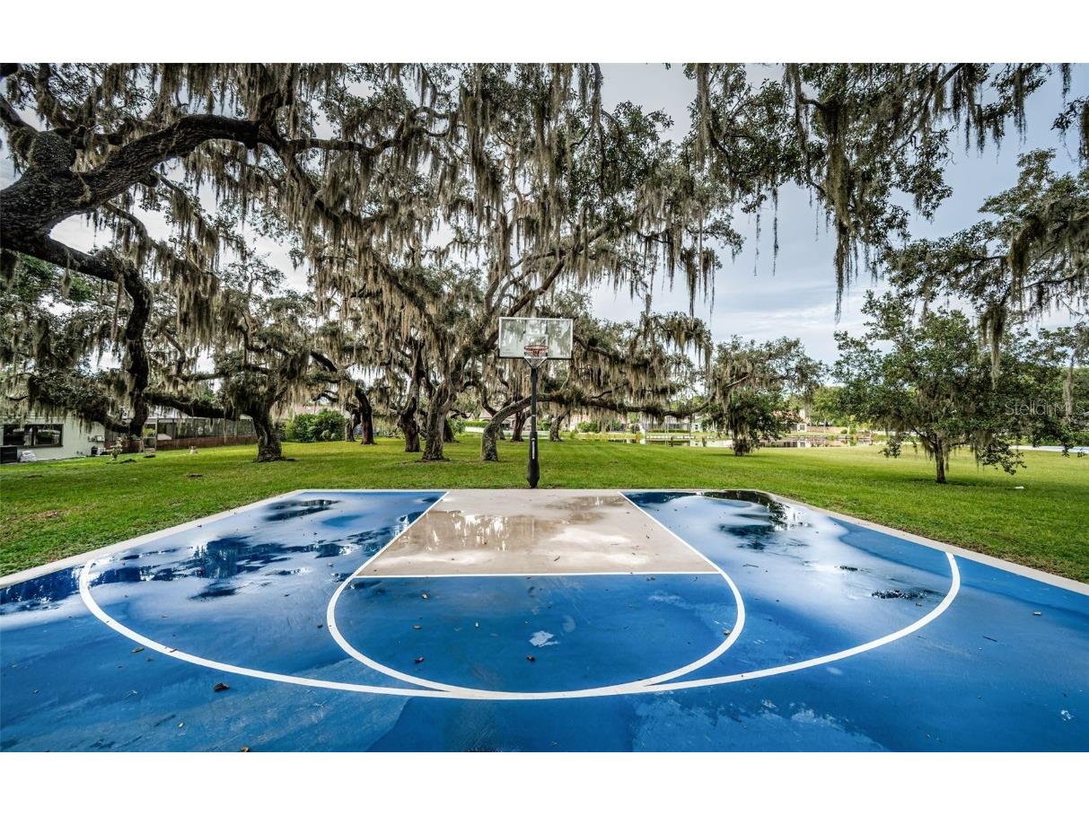 3853 Sunrise Lane Tarpon Springs FL 34688 TB8422035 image52