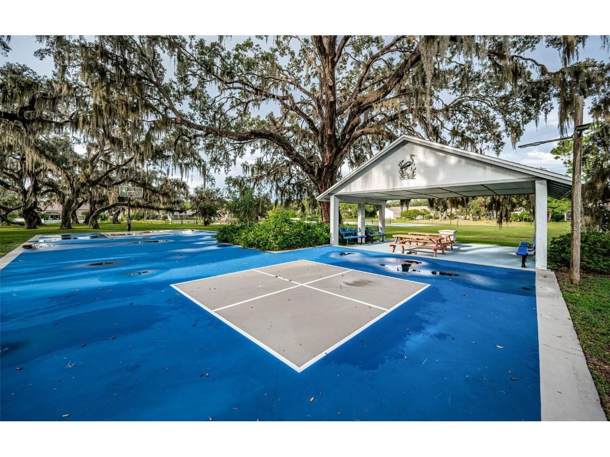 3853 Sunrise Lane Tarpon Springs FL 34688 TB8422035 image53