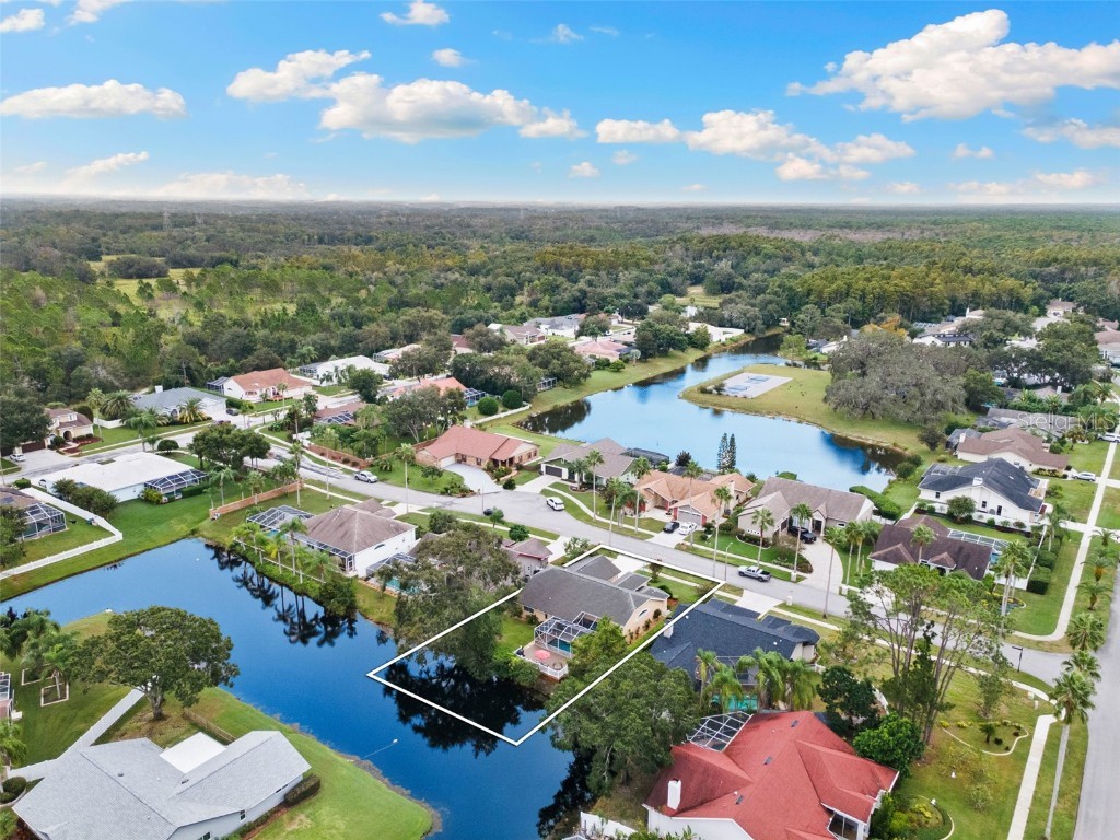 3853 Sunrise Lane Tarpon Springs FL 34688 TB8422035 image55