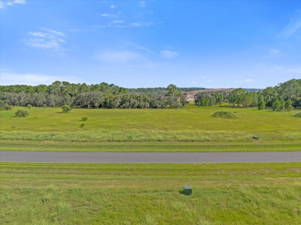 38530 Wooded Meadow Drive Umatilla FL 32784 G5101958 image1