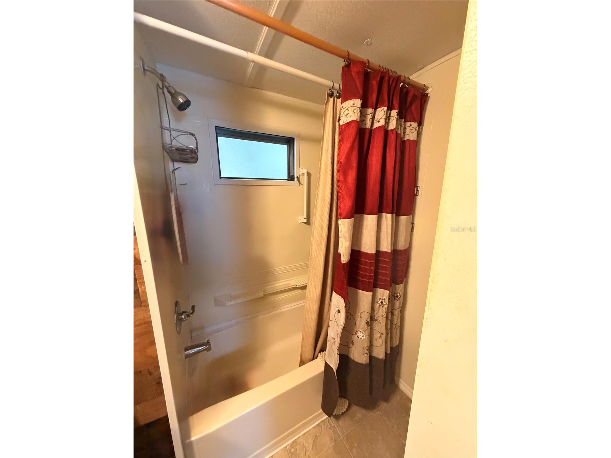 38533 Lansing Avenue Zephyrhills FL 33542 W7886332 image16
