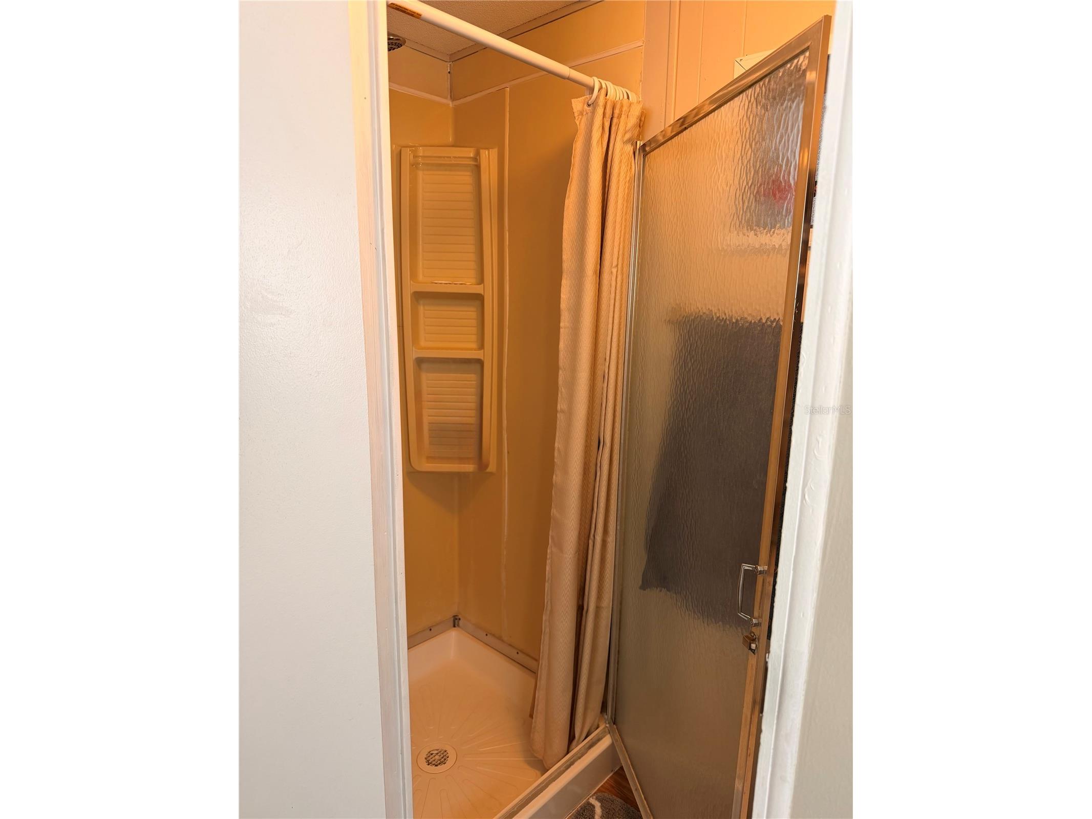 38533 Lansing Avenue Zephyrhills FL 33542 W7886332 image21