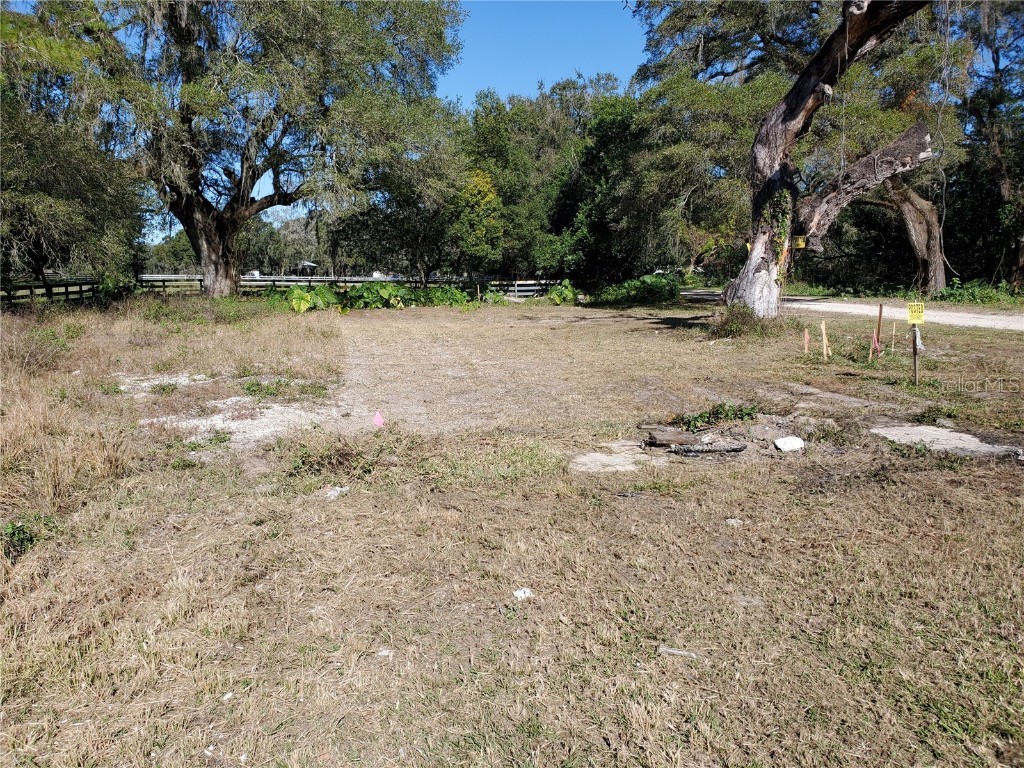 38533 State Road 575 Dade City FL 33523 T3385602 image1