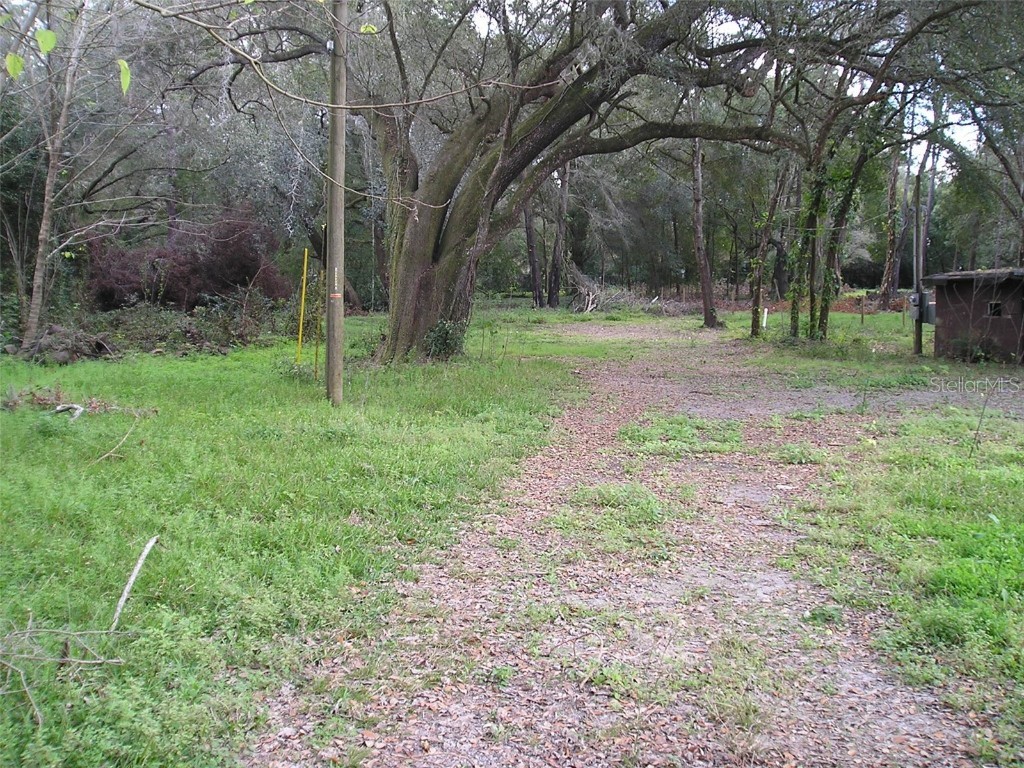 38536 Venus Avenue Zephyrhills FL 33542 T3426733 image1