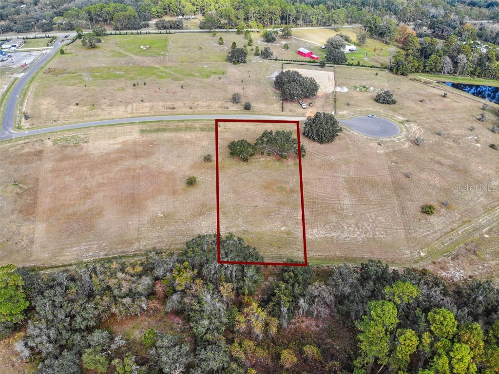 38538 Wooded Meadow Drive Umatilla FL 32784 O6363791 image3