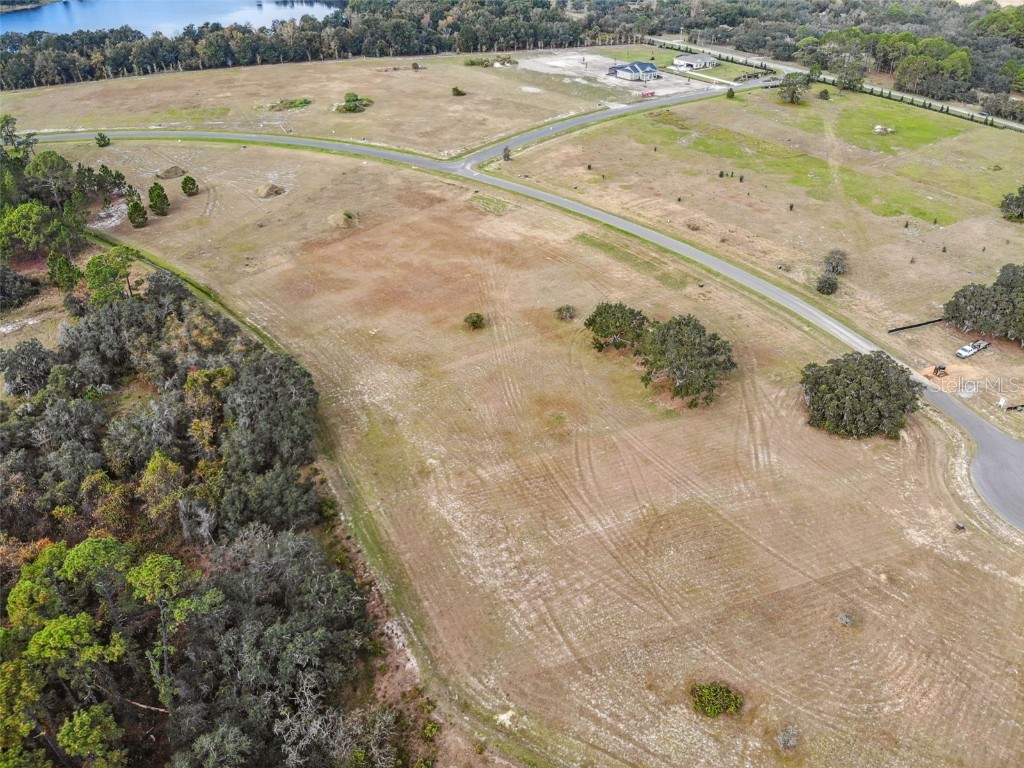 38538 Wooded Meadow Drive Umatilla FL 32784 O6363791 image8