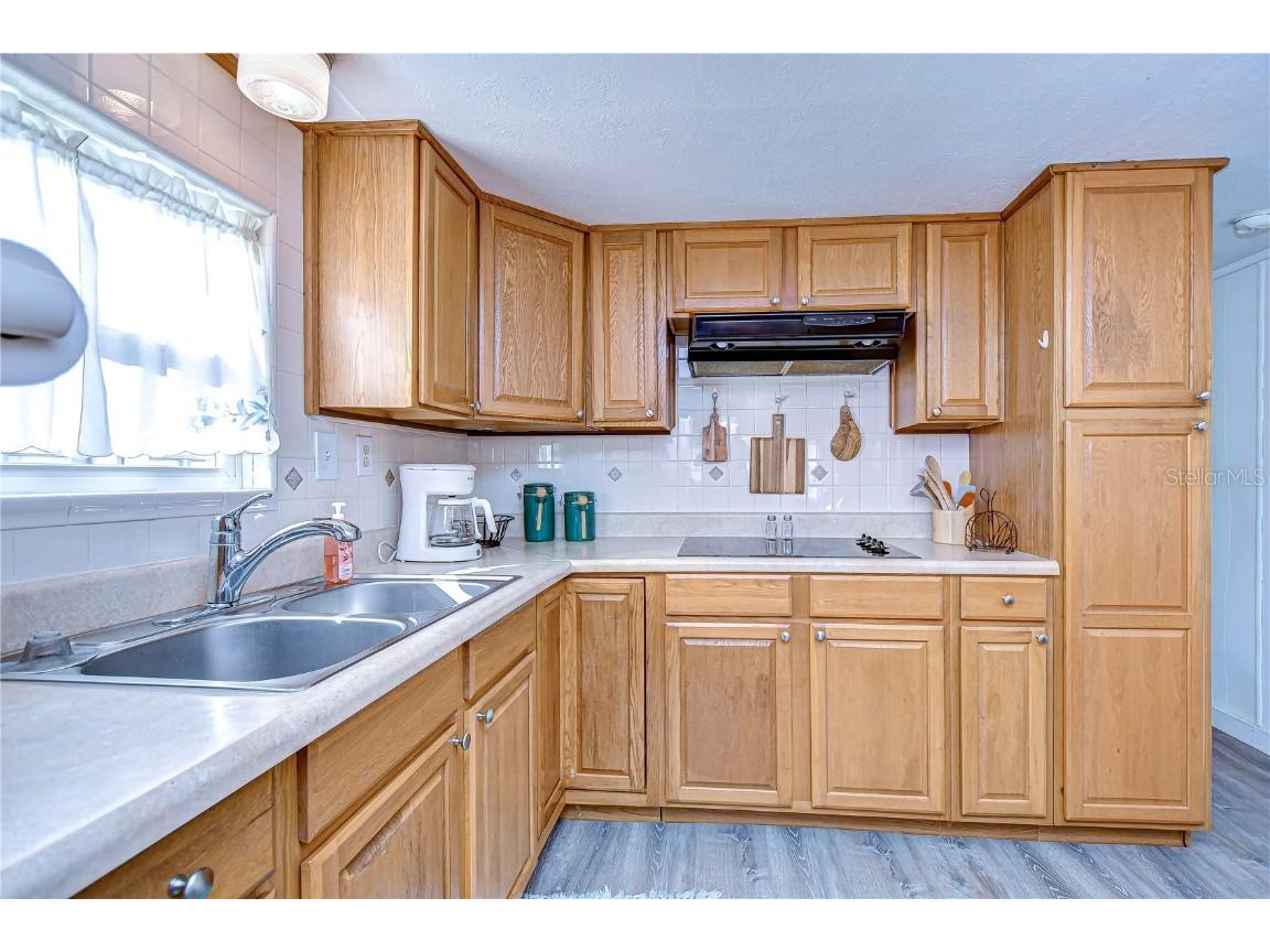 38541 Windflower Avenue Zephyrhills FL 33542 TB8437272 image11