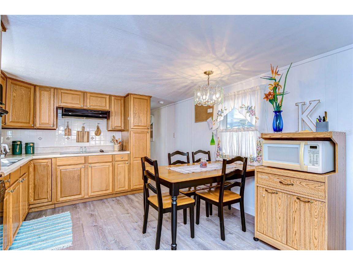 38541 Windflower Avenue Zephyrhills FL 33542 TB8437272 image9