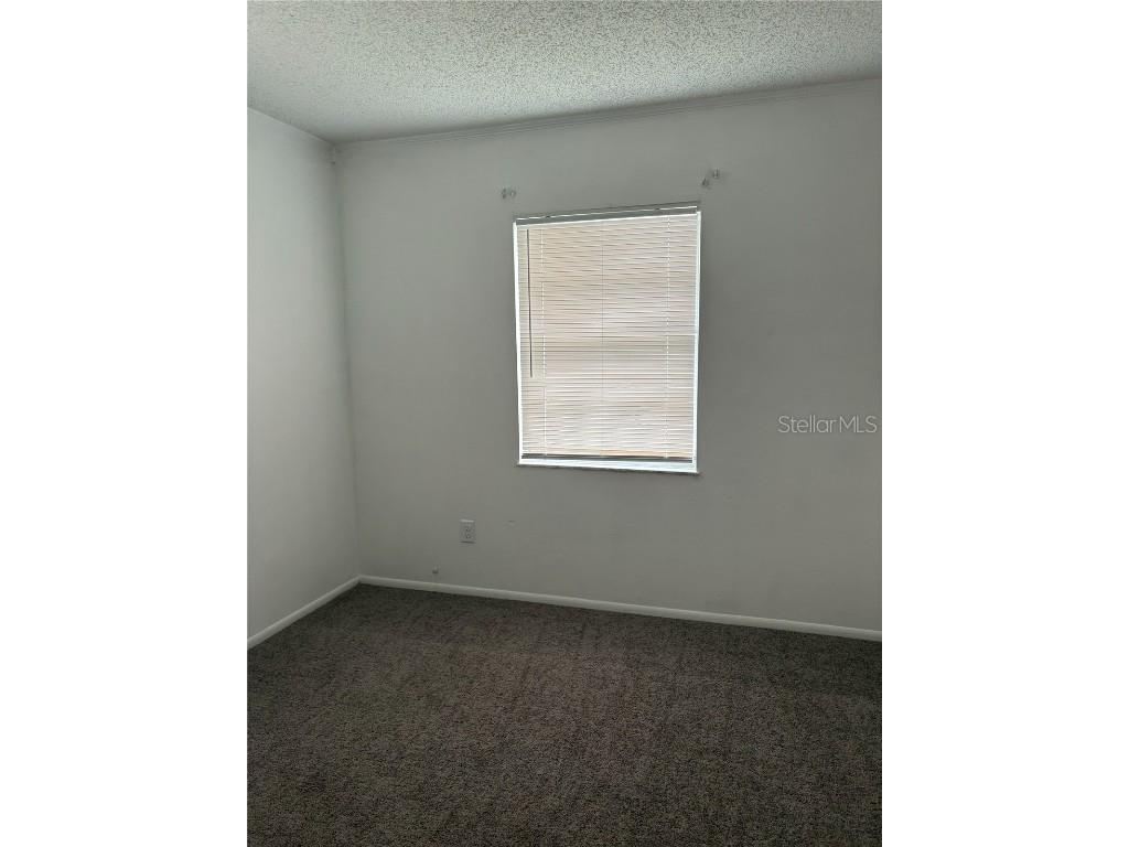 38545 Patti Lane Dade City FL 33523 G5104073 image4