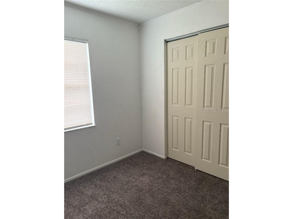 38545 Patti Lane Dade City FL 33523 G5104073 image6