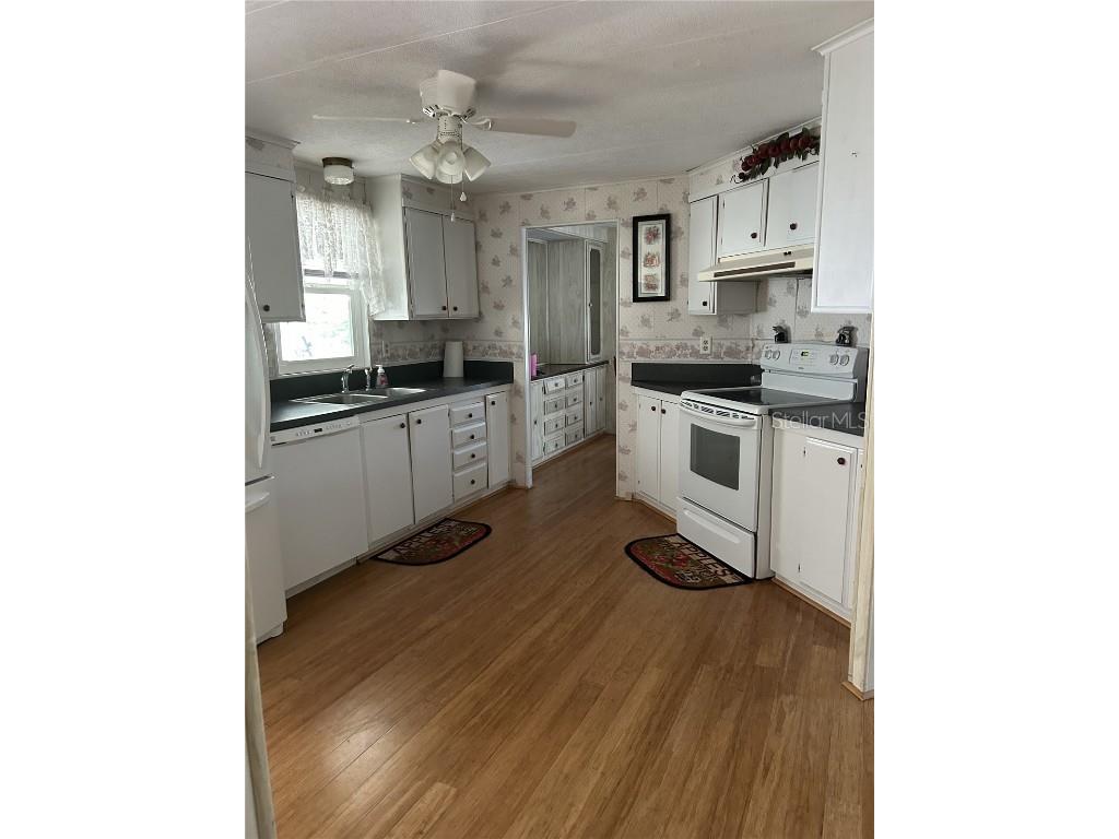 38552 Monet Drive Zephyrhills FL 33540 TB8320337 image16