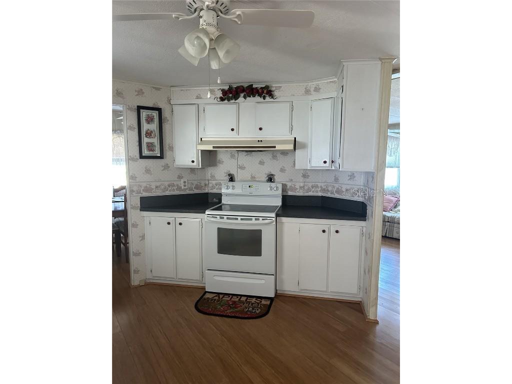 38552 Monet Drive Zephyrhills FL 33540 TB8320337 image18