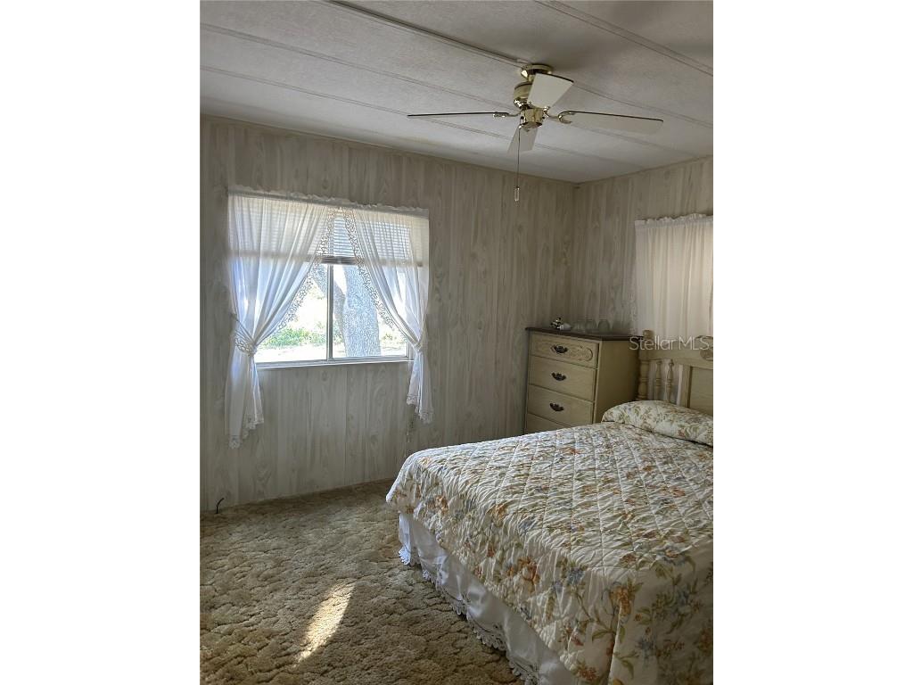 38552 Monet Drive Zephyrhills FL 33540 TB8320337 image37