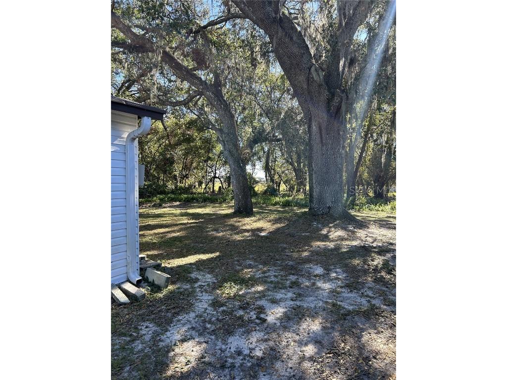 38552 Monet Drive Zephyrhills FL 33540 TB8320337 image41