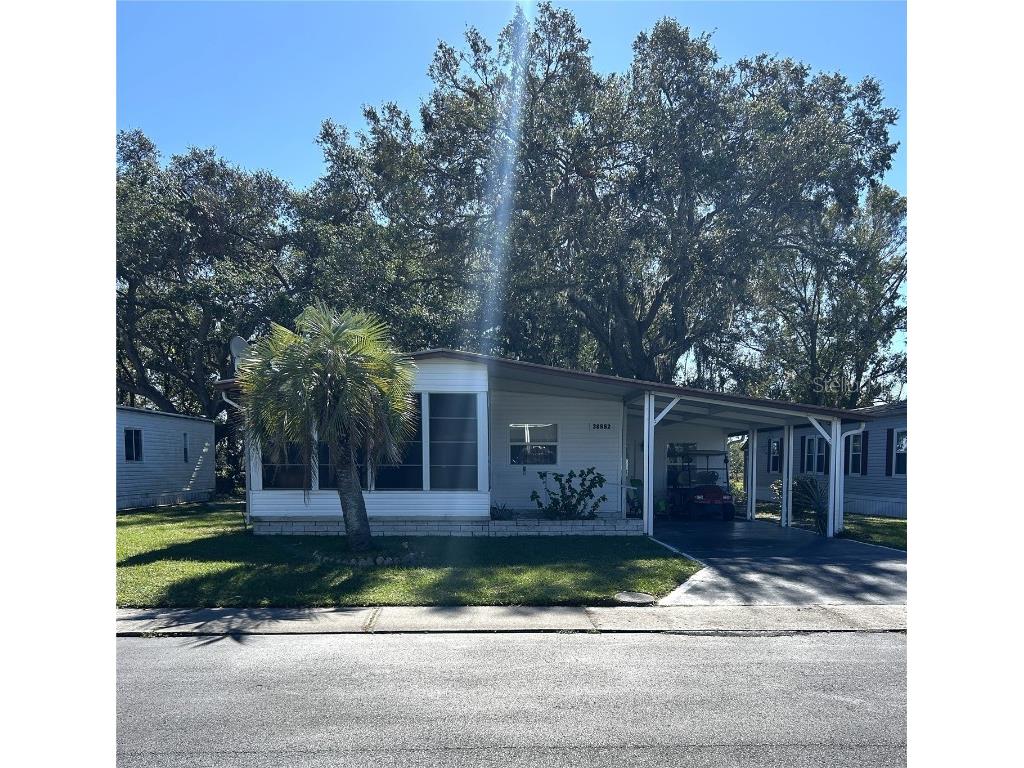 38552 Monet Drive Zephyrhills FL 33540 TB8320337 image5