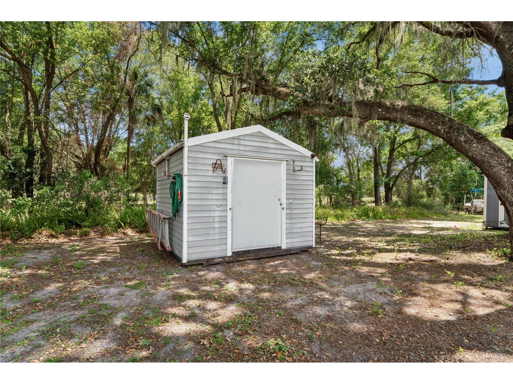 38552 Monet Drive Zephyrhills FL 33540 W7886018 image11