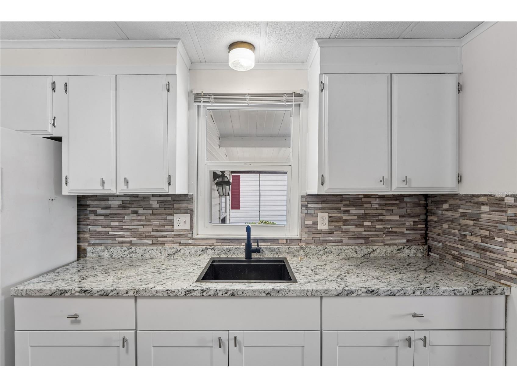 38552 Monet Drive Zephyrhills FL 33540 W7886018 image21