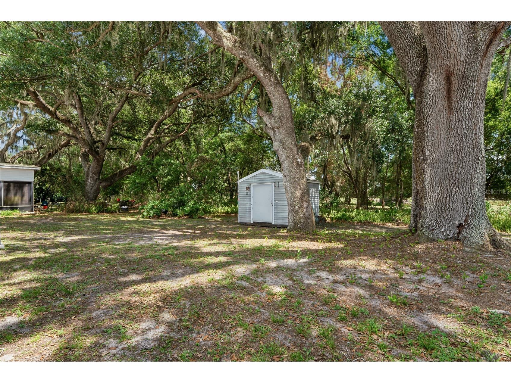 38552 Monet Drive Zephyrhills FL 33540 W7886018 image38