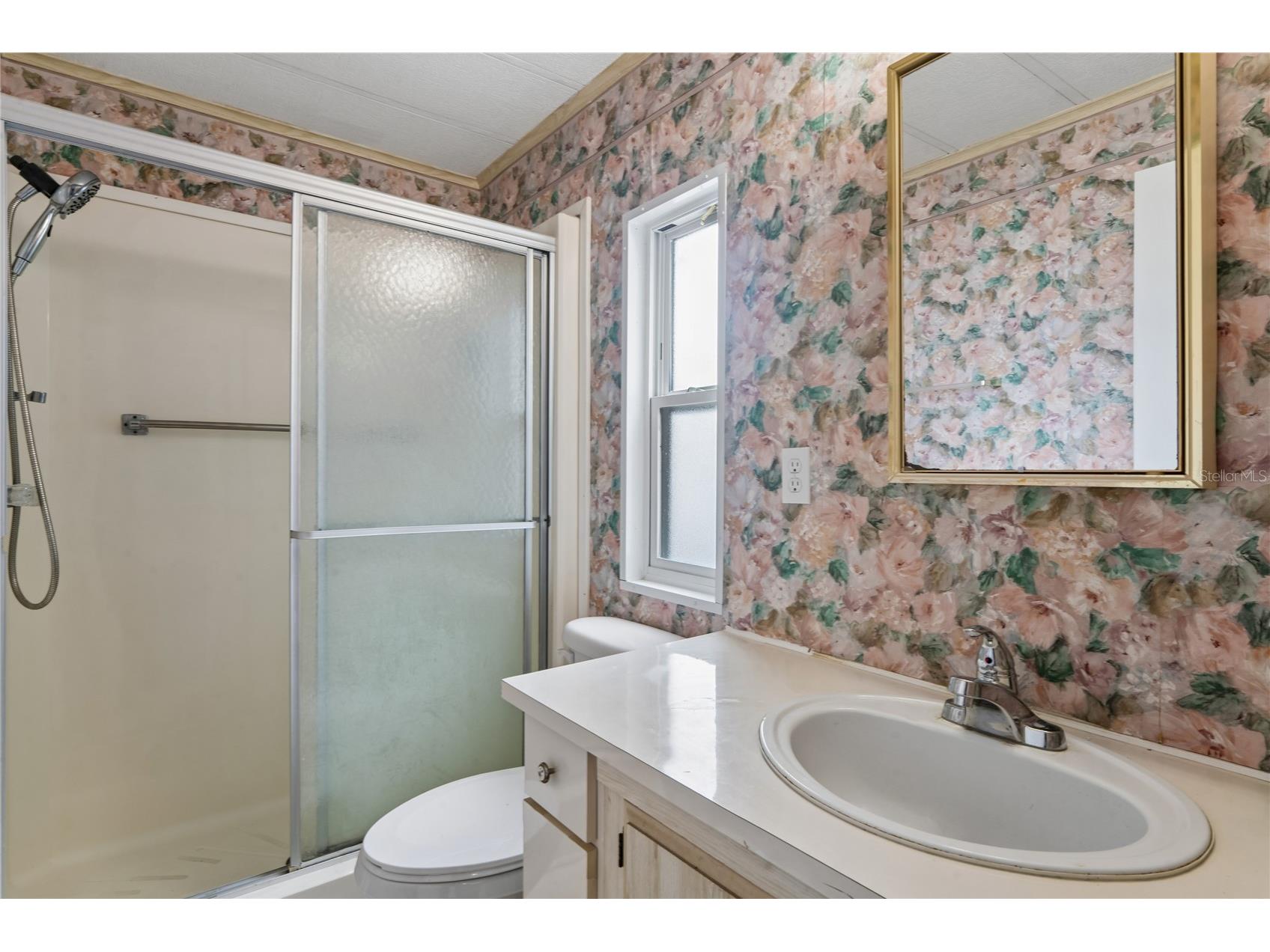 38552 Monet Drive Zephyrhills FL 33540 W7886018 image6