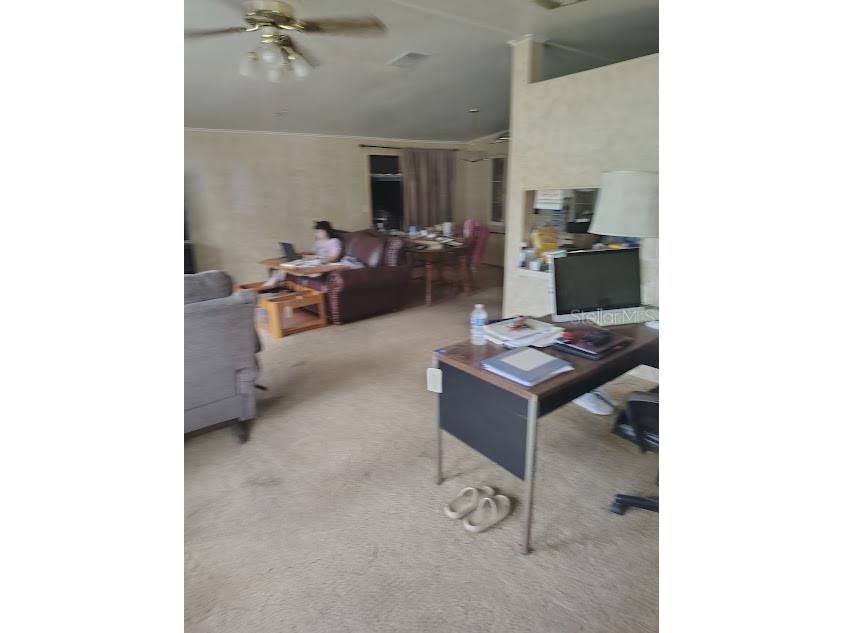 38553 Alston Avenue Zephyrhills FL 33542 TB8523703 image4