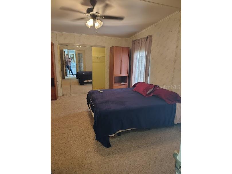 38553 Alston Avenue Zephyrhills FL 33542 TB8523703 image6