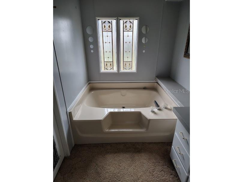 38553 Alston Avenue Zephyrhills FL 33542 TB8523703 image8