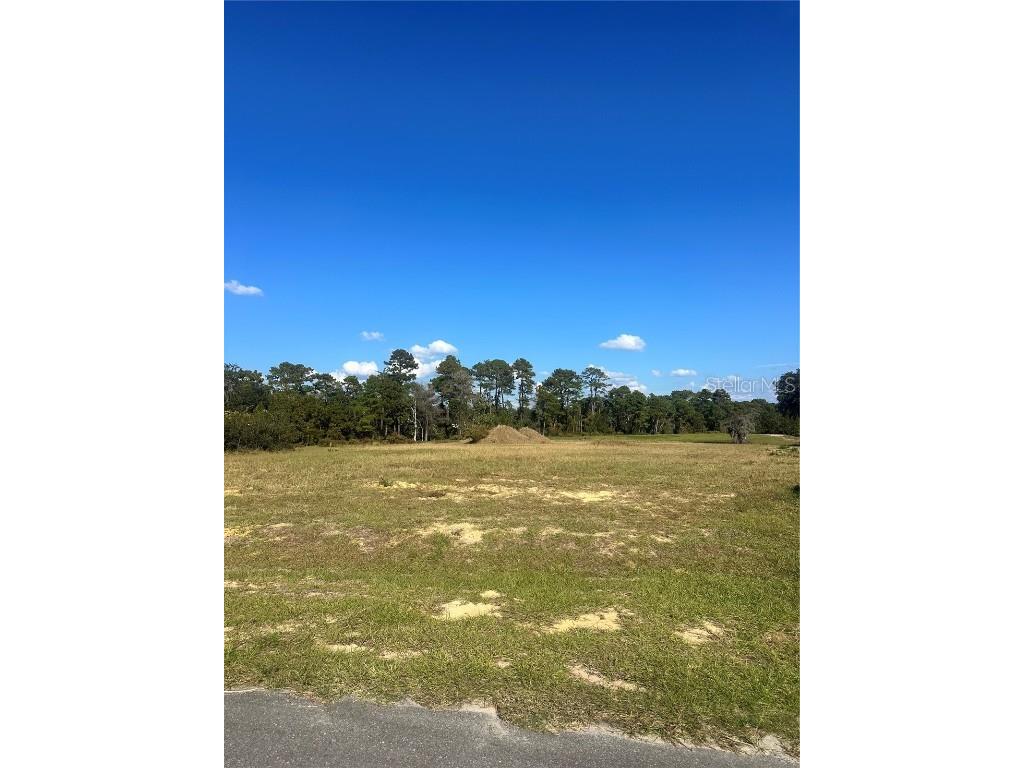 38553 Wooded Meadow Drive Umatilla FL 32784 - LAKE DALHOUSIE G5104954 image1
