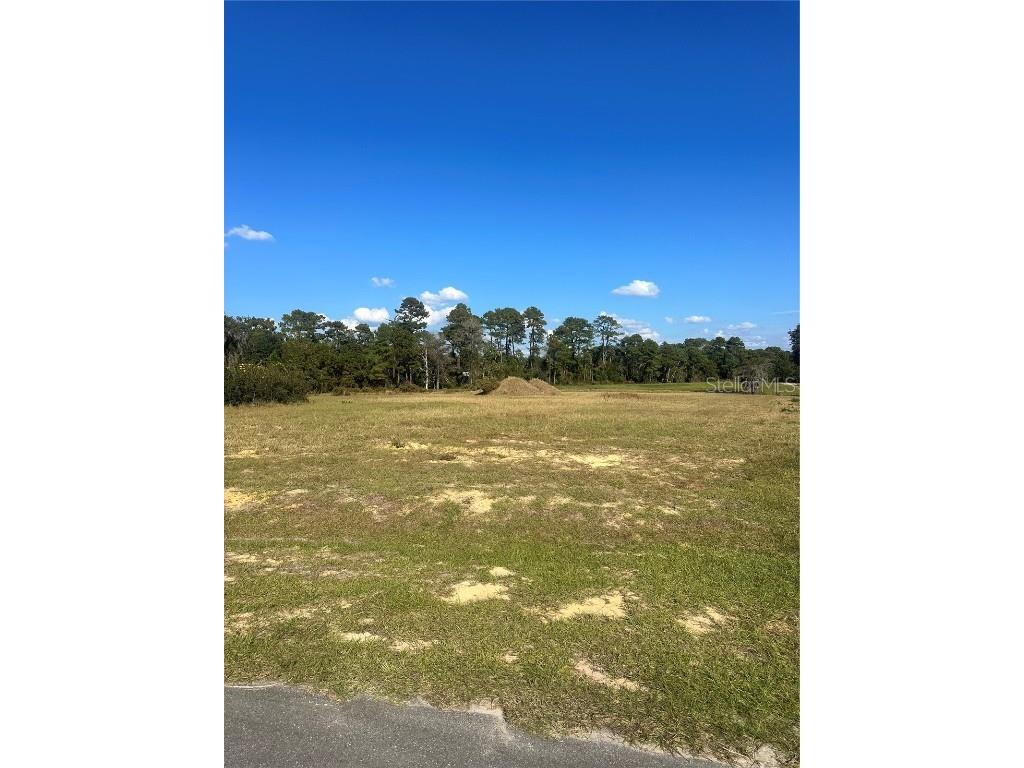 38553 Wooded Meadow Drive Umatilla FL 32784 - LAKE DALHOUSIE G5104954 image2