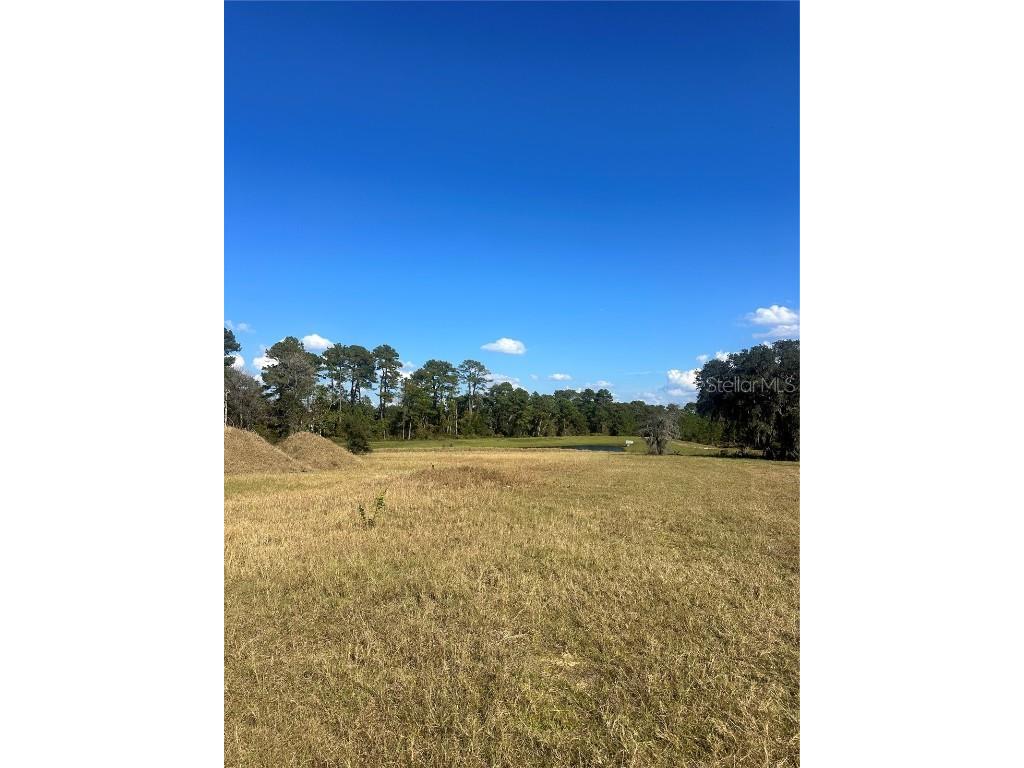 38553 Wooded Meadow Drive Umatilla FL 32784 - LAKE DALHOUSIE G5104954 image3