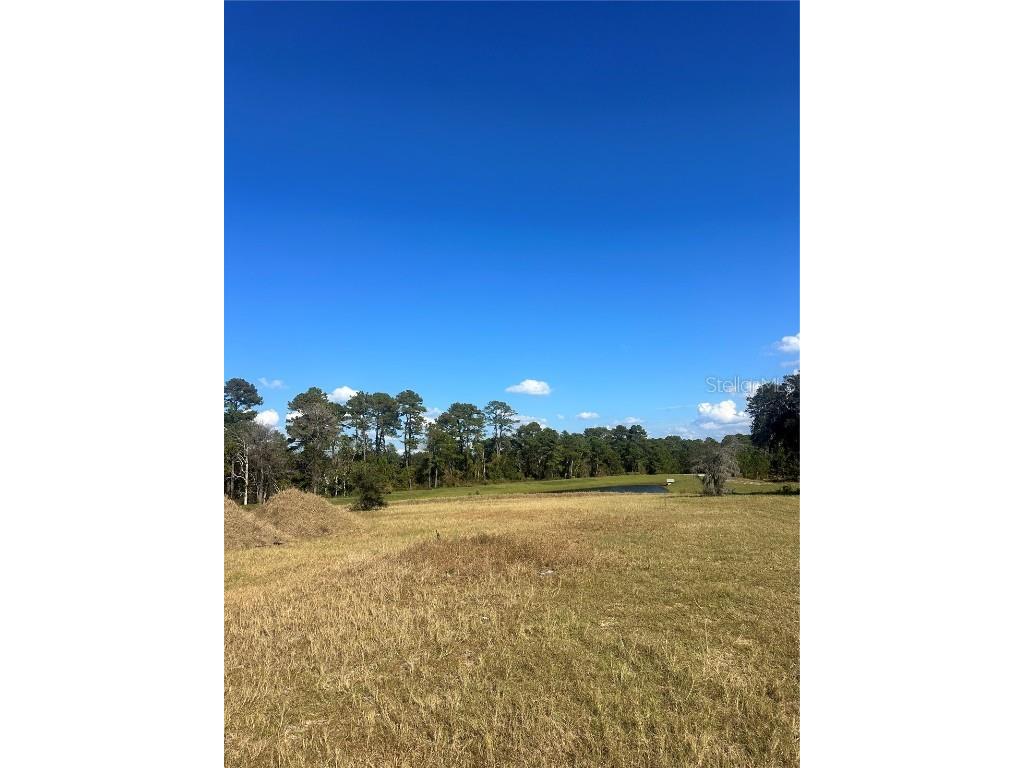 38553 Wooded Meadow Drive Umatilla FL 32784 - LAKE DALHOUSIE G5104954 image4