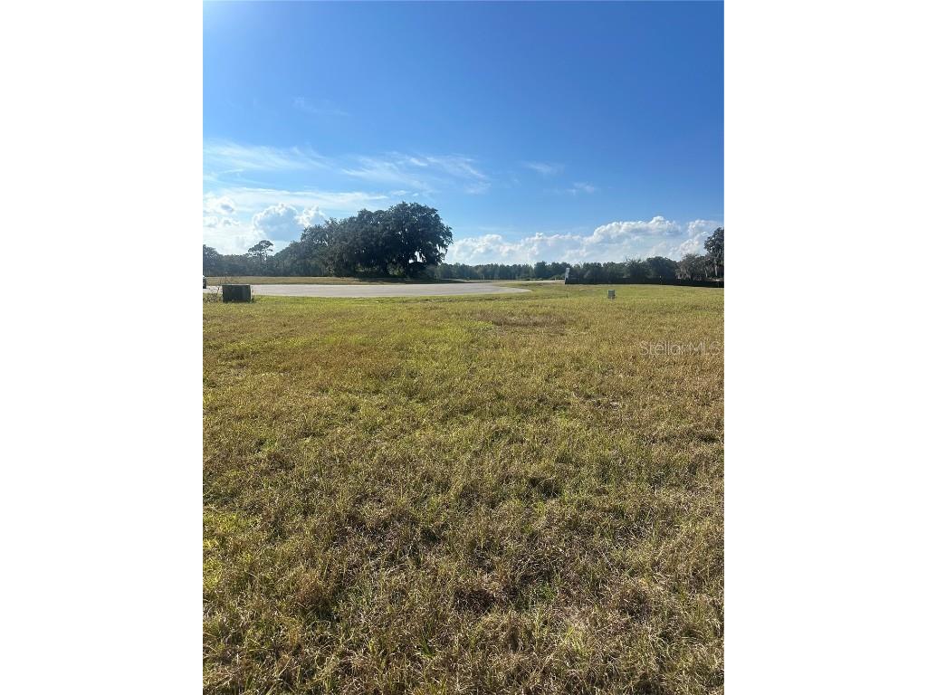 38553 Wooded Meadow Drive Umatilla FL 32784 - LAKE DALHOUSIE G5104954 image5