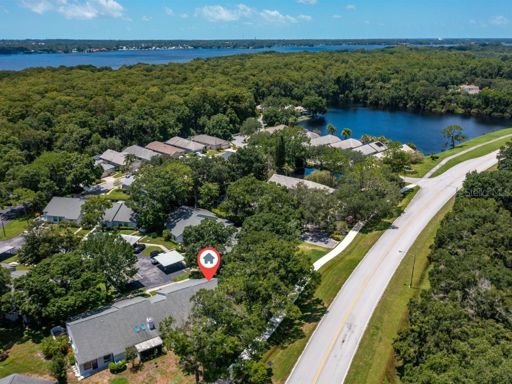 3856 Goldfinch Court Palm Harbor FL 34685 U8252604 image36