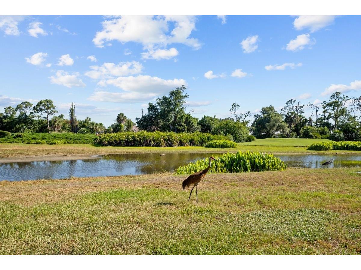 3856 Whispering Oaks Drive North Port FL 34287 C7526314 image34