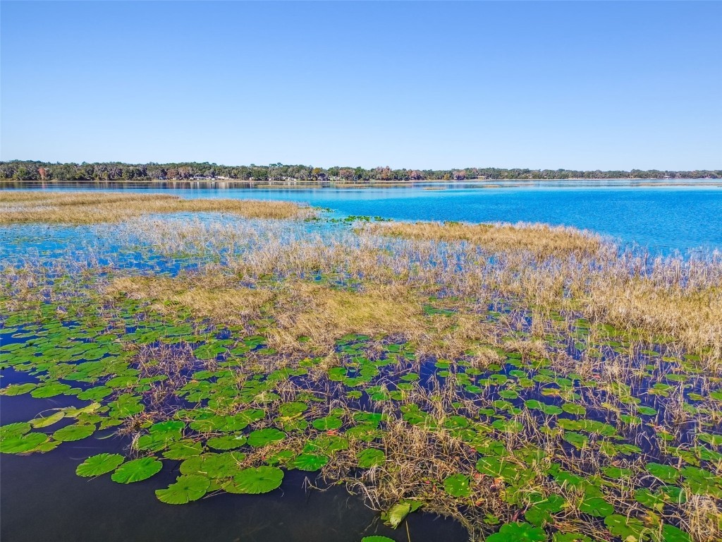 3857 E Orange Drive Hernando FL 34442 TB8455467 image41