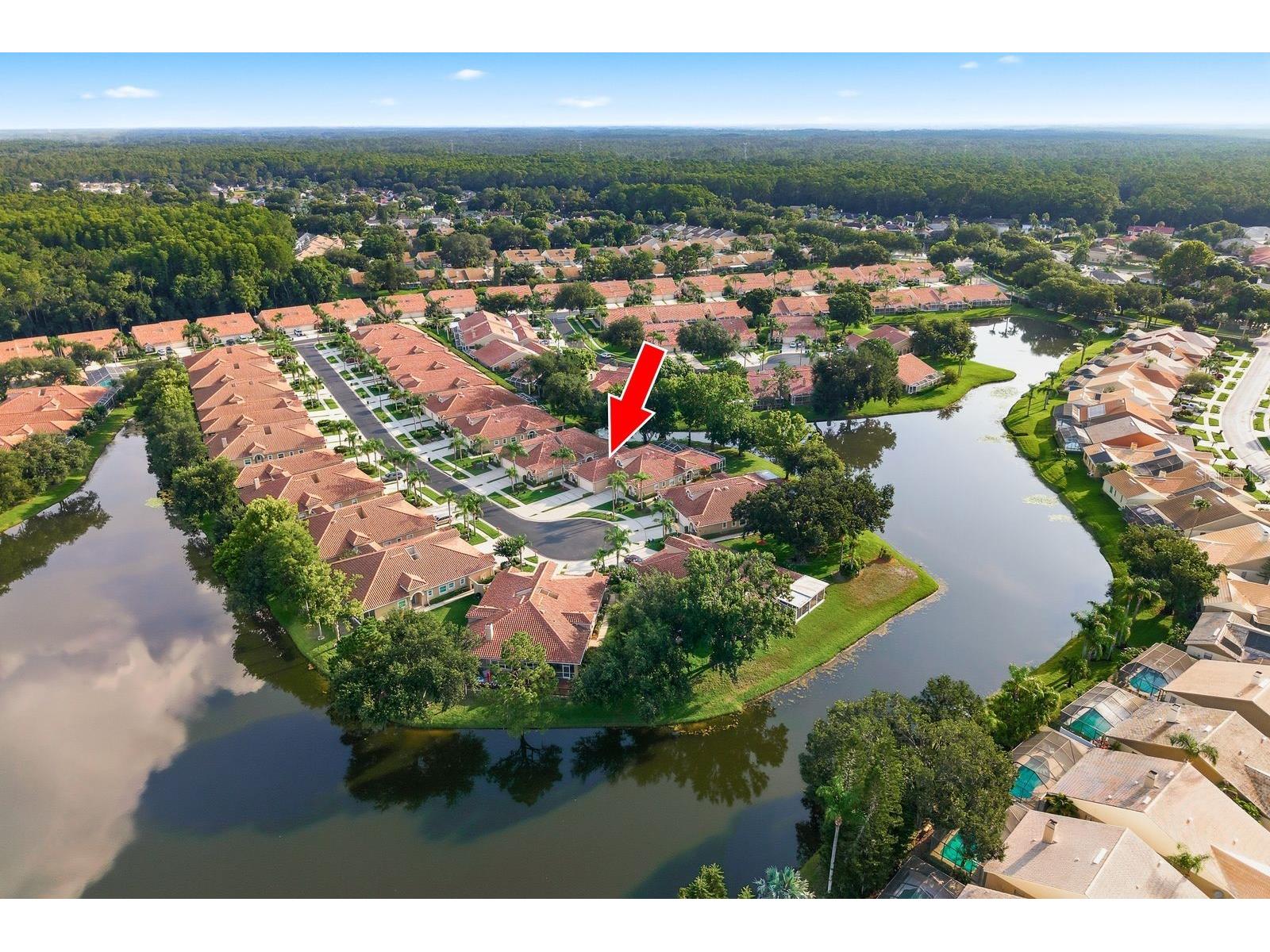 3857 Timber Ridge Court Palm Harbor FL 34685 TB8525622 image2