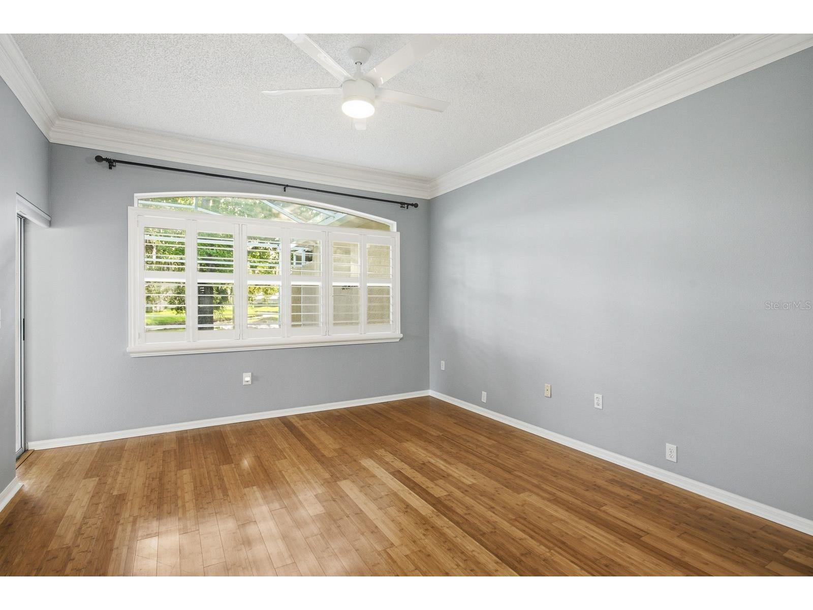 3857 Timber Ridge Court Palm Harbor FL 34685 TB8525622 image23