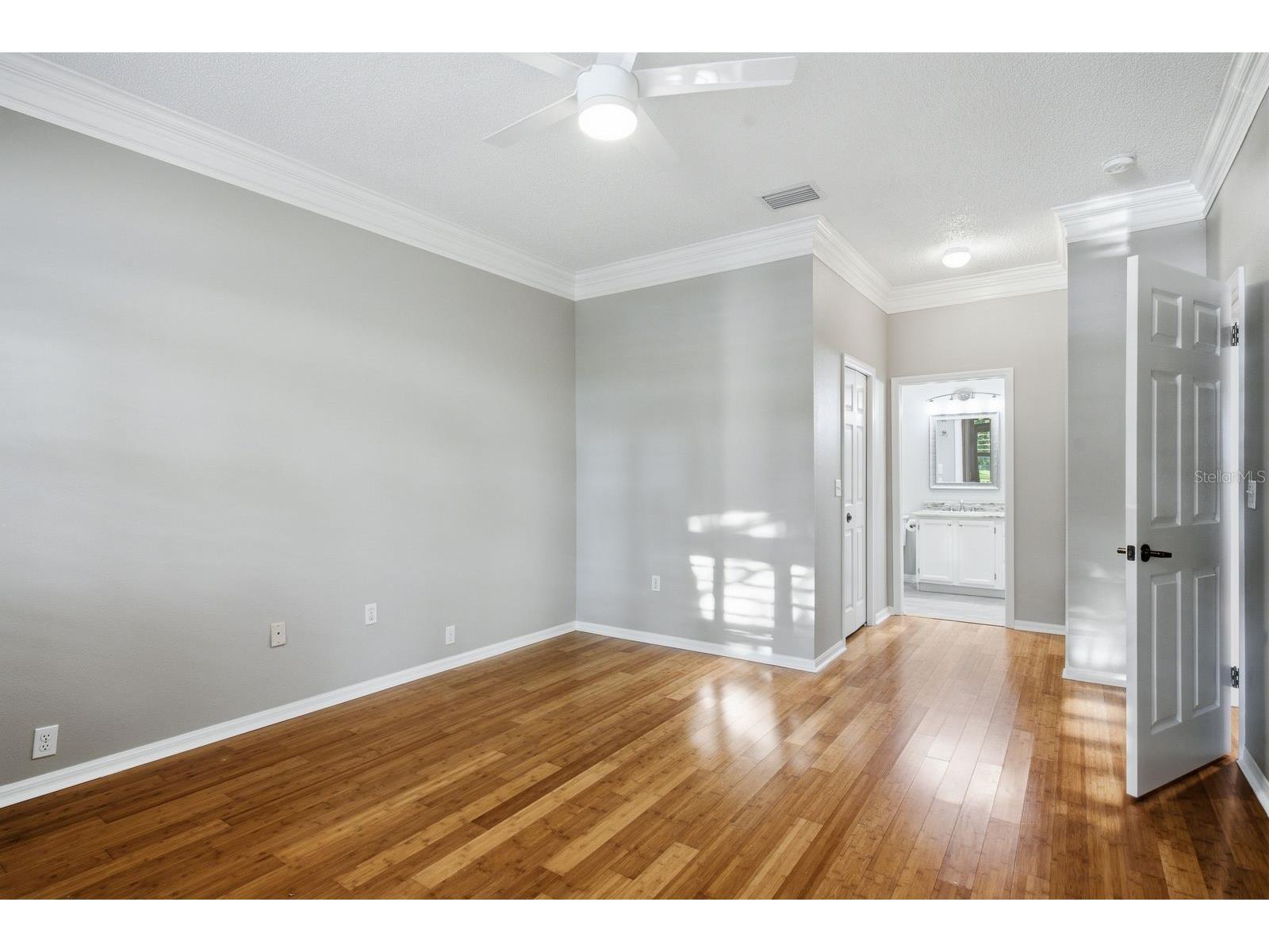 3857 Timber Ridge Court Palm Harbor FL 34685 TB8525622 image24