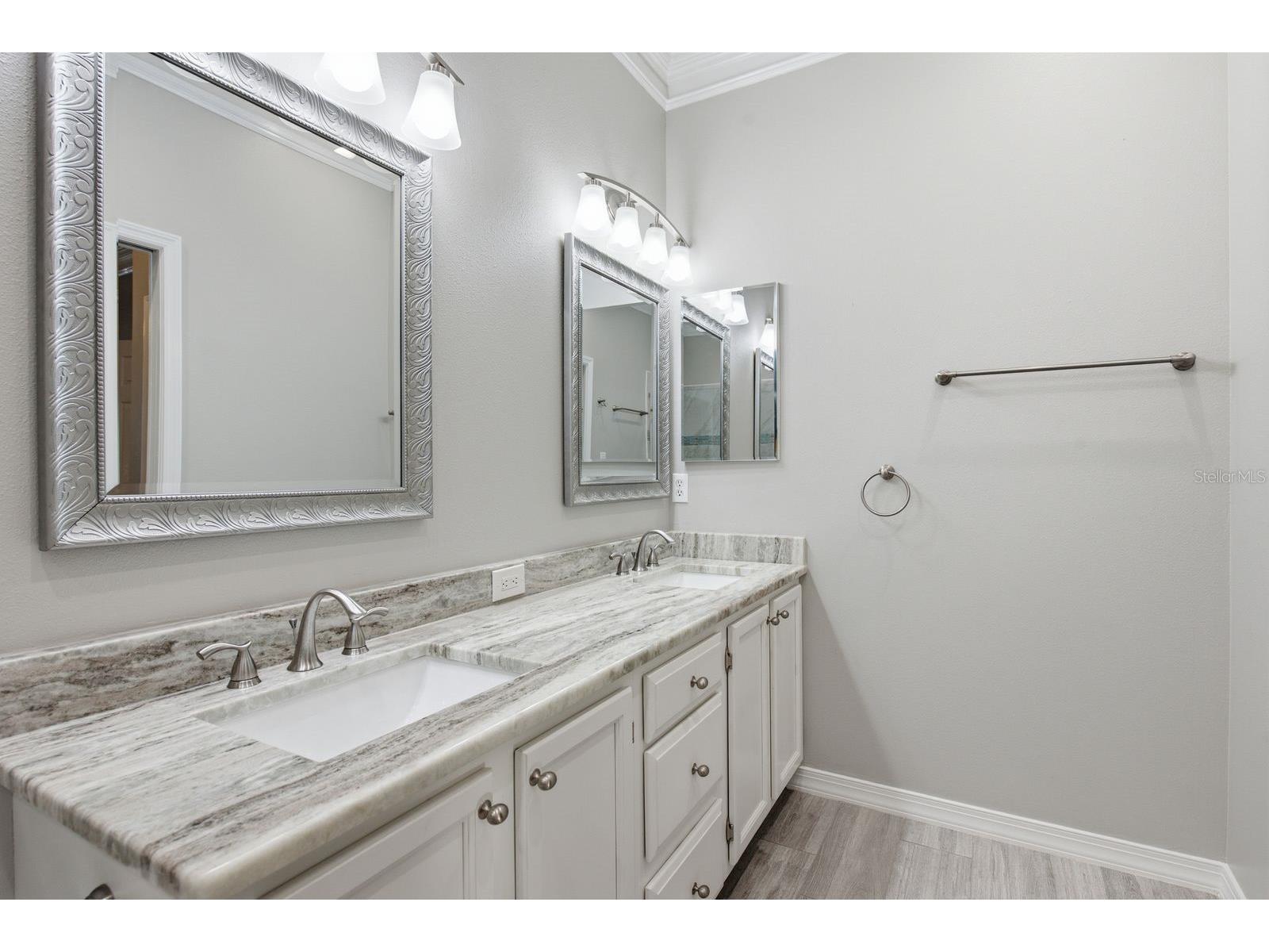 3857 Timber Ridge Court Palm Harbor FL 34685 TB8525622 image25