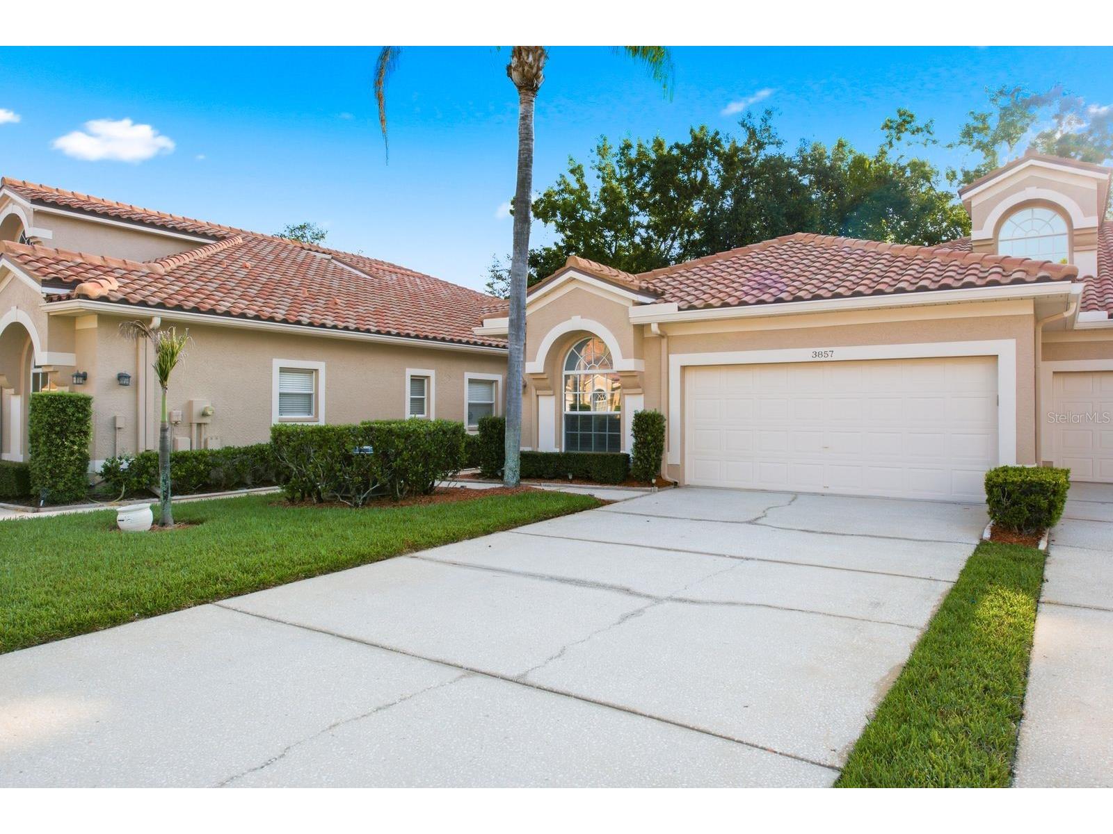 3857 Timber Ridge Court Palm Harbor FL 34685 TB8525622 image3