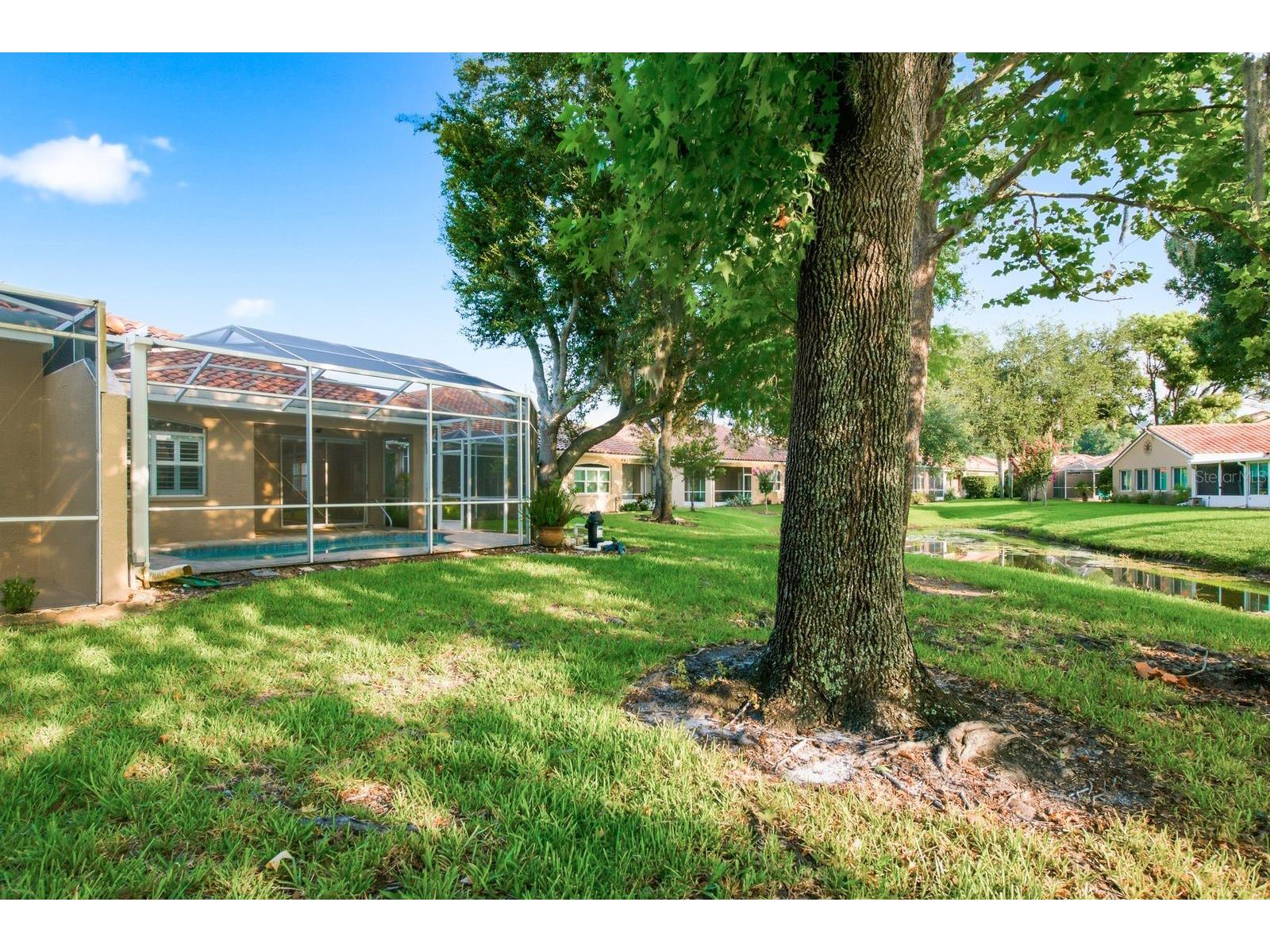 3857 Timber Ridge Court Palm Harbor FL 34685 TB8525622 image39