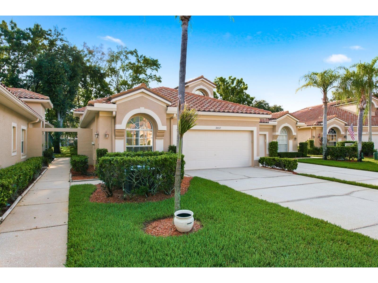 3857 Timber Ridge Court Palm Harbor FL 34685 TB8525622 image4